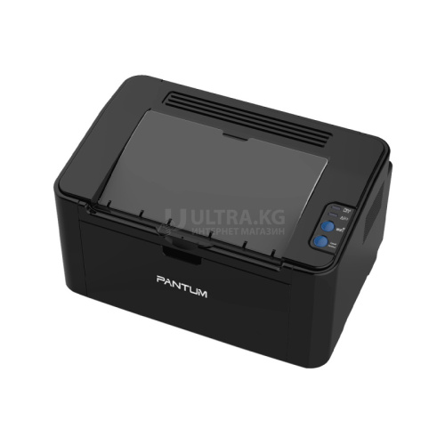 Pantum P2516 black (1200х1200 dpi, ч/б, 22 стр/мин, USB)