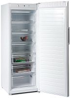 Морозильник Haier HF300WG