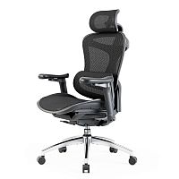 Офисное кресло Office Chair SIHOO C300-B101 BLACK 6D Armrest, class 4 TUV gaslift,350mm aluminum base